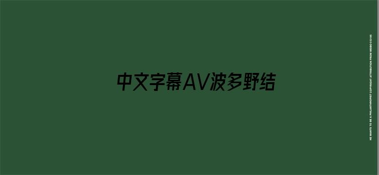 中文字幕AV波多野结衣