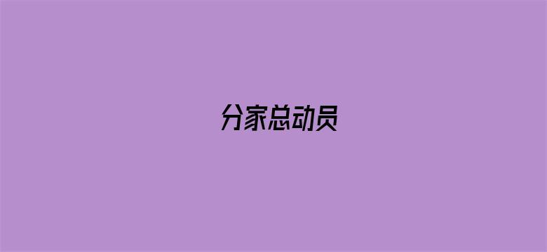 分家总动员