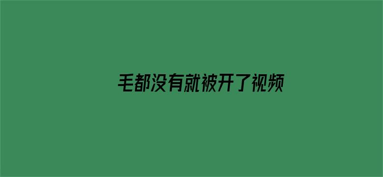 >毛都没有就被开了视频苞横幅海报图